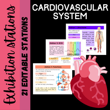 Preview of Cardiovascular System: Exhibition Stations