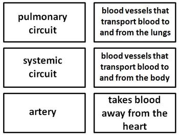 cardiovascular