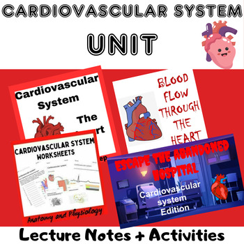 Preview of Cardiovascular System Growing Bundle