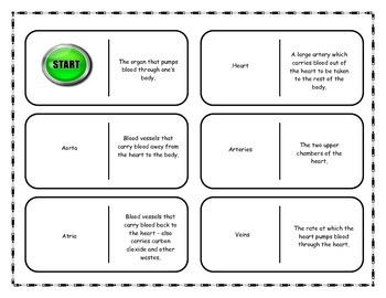 Preview of Cardiovascular System: Heart Vocabulary Dominoes