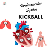 Cardiovascular System Kickball