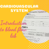 Cardiovascular System Lab