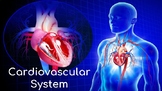 Cardiovascular System Lesson (with 2 Activities)