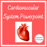 Exercise Science Cardiovascular System Powerpoint
