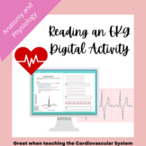 Cardiovascular System: Reading an EKG Activity Anatomy and