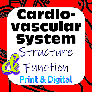 Preview of Cardiovascular System Structure Function & Card Sort Print & Digital Interactive