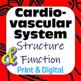 Cardiovascular System Structure Function & Card Sort Print