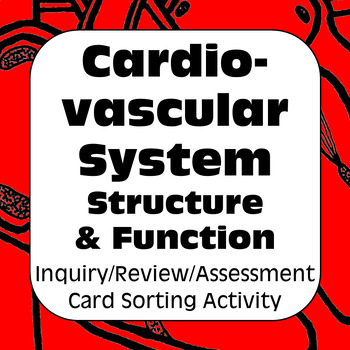 Preview of Cardiovascular System Structure Function Card Sort for High School & AP Biology