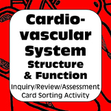 Cardiovascular System Structure Function Card Sort for Hig