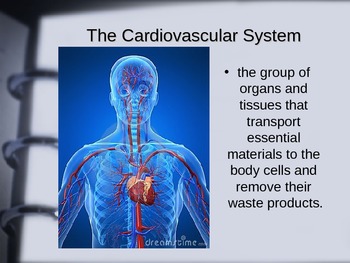 Preview of Cardiovascular System, The Blood and Heart Disease