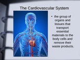 Cardiovascular System, The Blood and Heart Disease