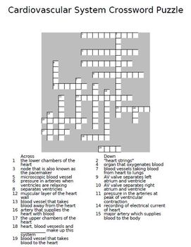 Cardiovascular System Unit Crossword Puzzle by The Teacher Team | TpT