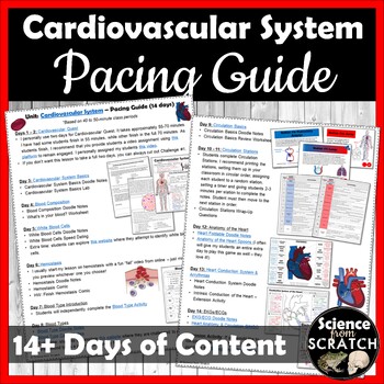 Preview of Cardiovascular System Unit Pacing Guide