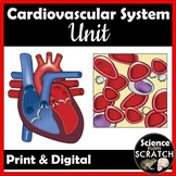 Cardiovascular System Unit for Anatomy