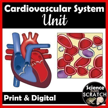 Preview of Cardiovascular System Unit for Anatomy