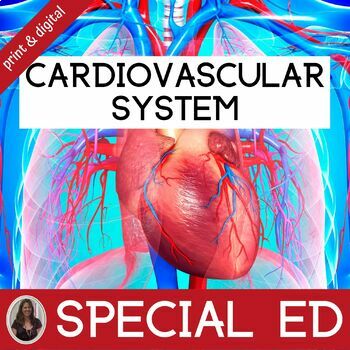 Preview of Cardiovascular System Unit for Special Education Human Body Anatomy