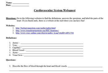 Preview of Cardiovascular System Webquest