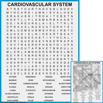 Preview of Cardiovascular System Word Search