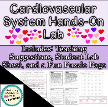 Preview of Cardiovascular System Worksheets and Heart Science and Health Lab Activity