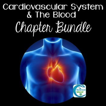 Preview of Cardiovascular System and Blood Chapter Bundle for Anatomy and Physiology