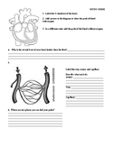 Cardiovascular and Respiratory Study Guide