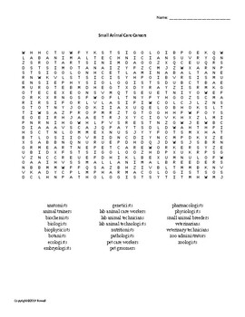 Careers in Small Animal Care Vocabulary Word Search for Animal Science  Students