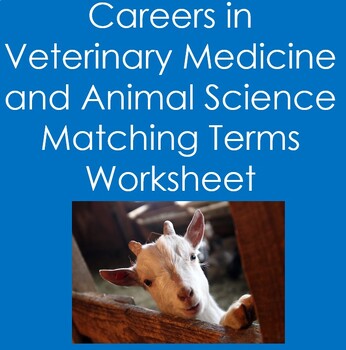 Preview of Careers in Veterinary Medicine and Animal Science Matching Terms Worksheet