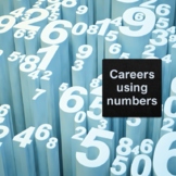 Careers using numbers