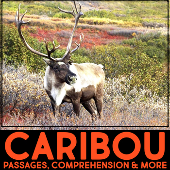 Preview of Caribou Animal Research Nonfiction - Reindeer Reading Passage & Comprehension