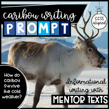 Preview of Caribou Informative Writing Prompt with Passages - Graphic Organizer - Rubric