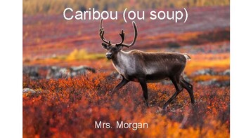 Preview of Caribou (ou soup) Decodable OG Reading Passage with Questions