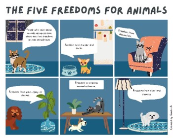 Preview of Caring for animals: Five Freedoms for animals