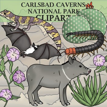 Preview of Carlsbad Caverns National Park Clipart - Plants and Animals of the National Park