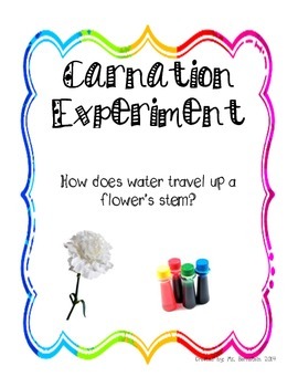 Preview of Carnation Science Experiment: The Study of How Water Travels Up a Stem