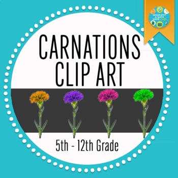 Preview of Carnations Clip Art
