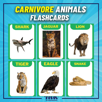 Carnivore Animals Flashcards with real pictures. printable posters for ...