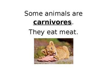 Preview of Carnivore, Herbivore, and Omnivore Sorting
