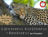Carnivore, Herbivore and Omnivore Sorting Activity (French