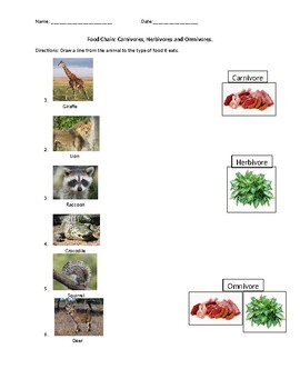 Carnivore, Herbivore, And Omnivore Sorts. By Miss G's Classroom | TPT