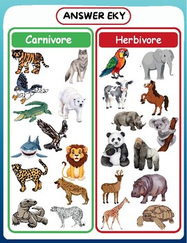 Carnivore & Herbivore sorting activity-Cut and paste activities-Sorting ...