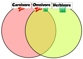 Carnivore, Omnivore, Herbivore Sort by Miss Morrison's Classroom Resources