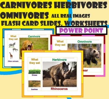 Preview of Carnivores,Herbivores,Omnivores-Slides,Worksheets-with real images.POWERPOINT