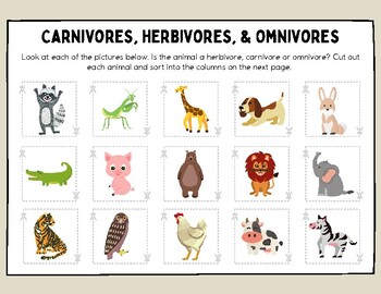 Omnivore, Herbivore, Carnivore Sorting Cards Teaching Resources | TPT