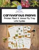 Carnivorous Plant Life Cycles: Venus Fly Trap & Pitcher Plant