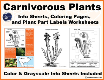 Carnivorous Plant Resources & Worksheets by Homeschooling2e | TpT