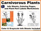 Carnivorous Plant Resources & Worksheets