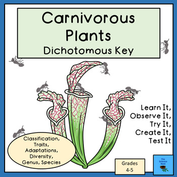 Preview of Carnivorous Plants Dichotomous Key