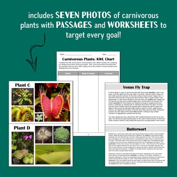 Carnivorous Plants: Activity for Mixed Speech and Language Groups