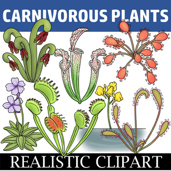 Preview of Carnivorous Plants Clip Art