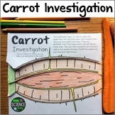 Plant Lab Activity: Carrot Investigation